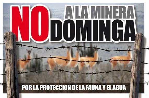 DOMINGA14