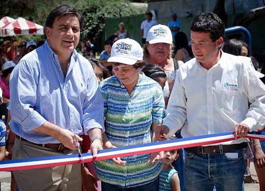 grifos alcalde