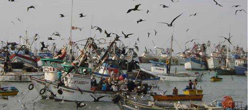 LEY-PESCA14