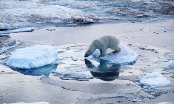 oso c-climat