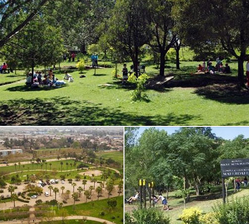 RIEGO-PARQUES-15