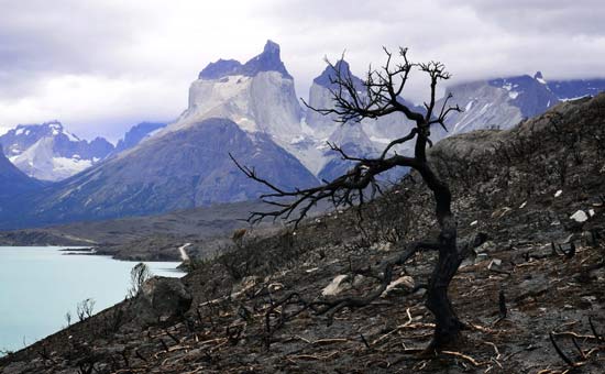 torres-paine-incendio-15