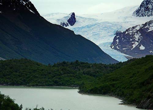 GLACIAR-DICKSON-15