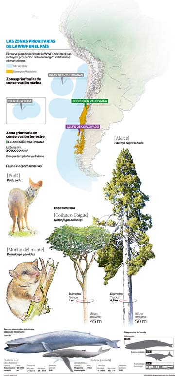 wwf-zonas-15