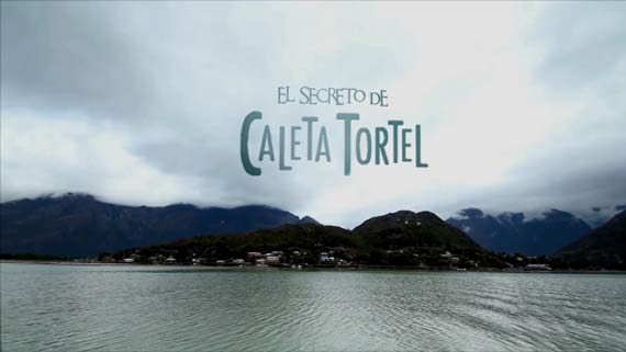 TORTEL-1115