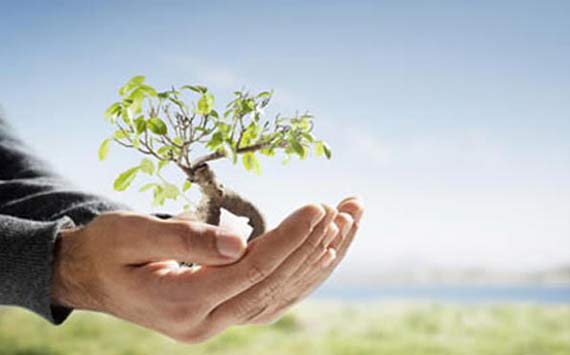 ecosia-0316