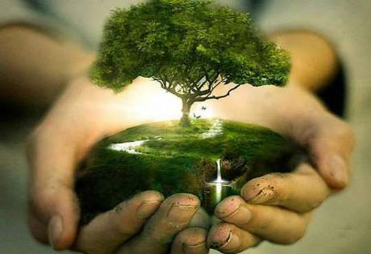 Día Mundial del Árbol | Chile Desarrollo Sustentable