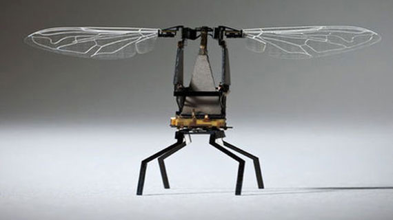 robot-abeja-1116