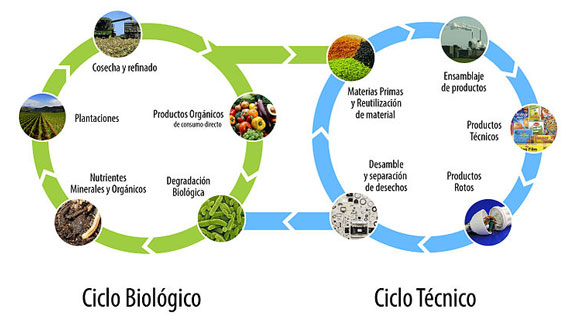 sustentable-circular-1116