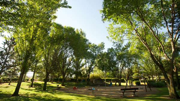 area-verdeees-3-0617