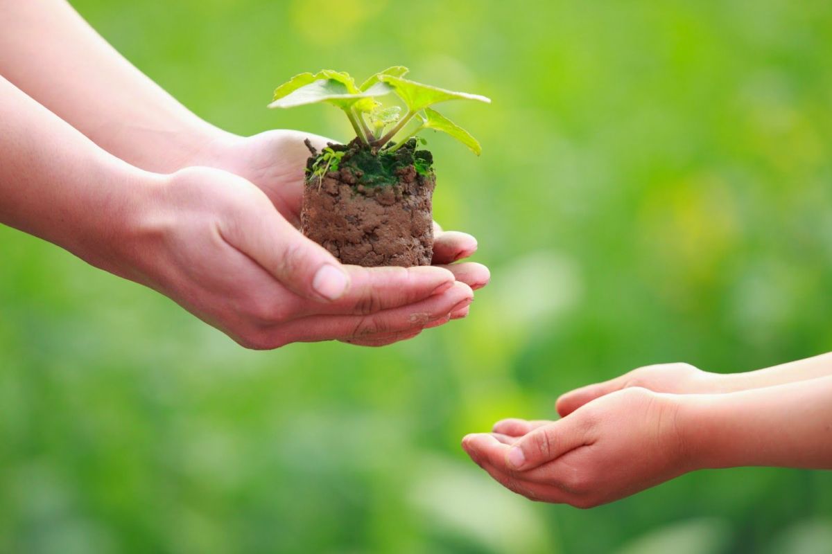 medioambiente-per-natur-0617