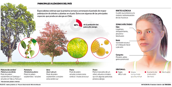 Próxima semana se inicia temporada de alergias respiratorias en Santiago |  Chile Desarrollo Sustentable